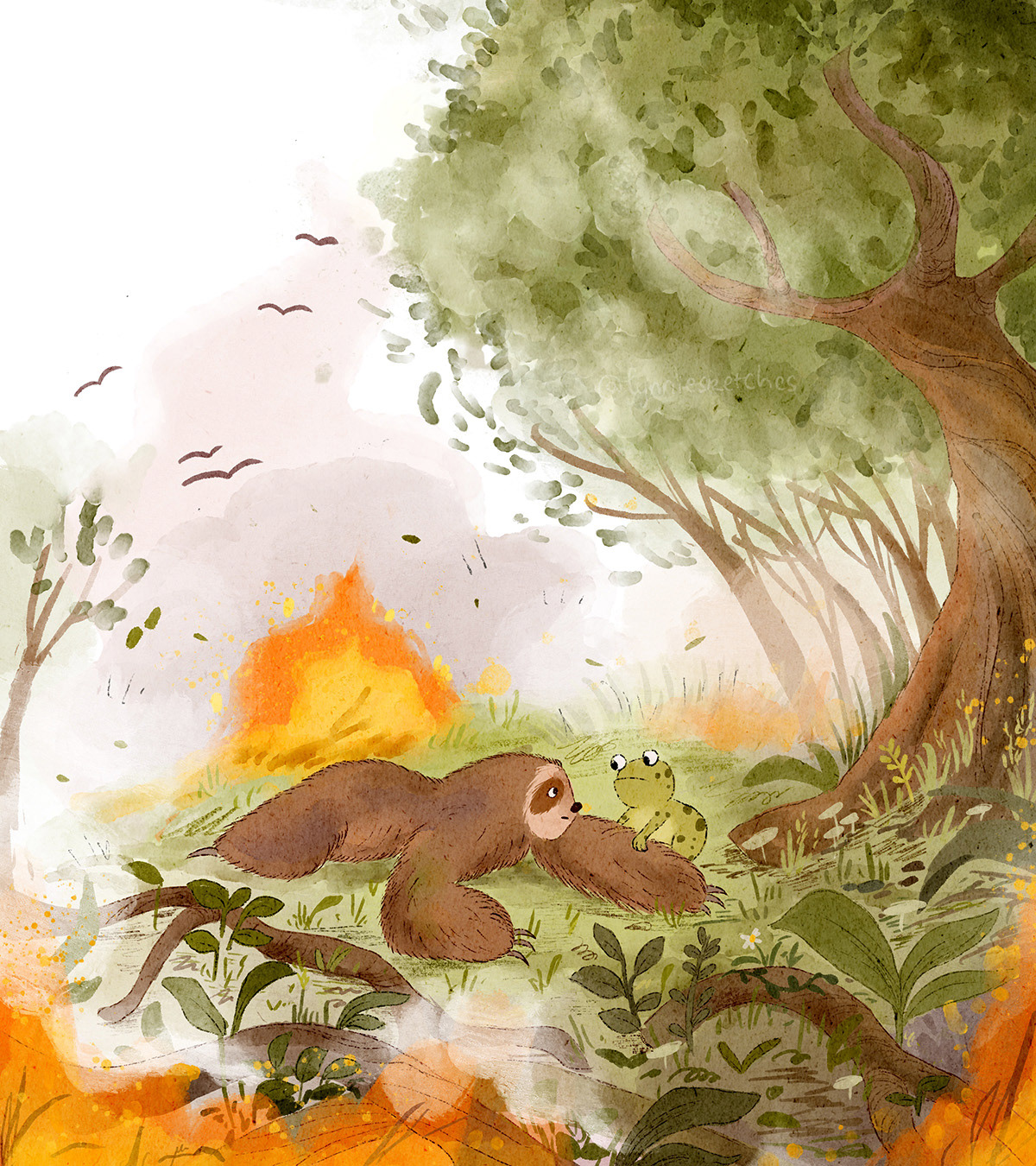 Forest Fire