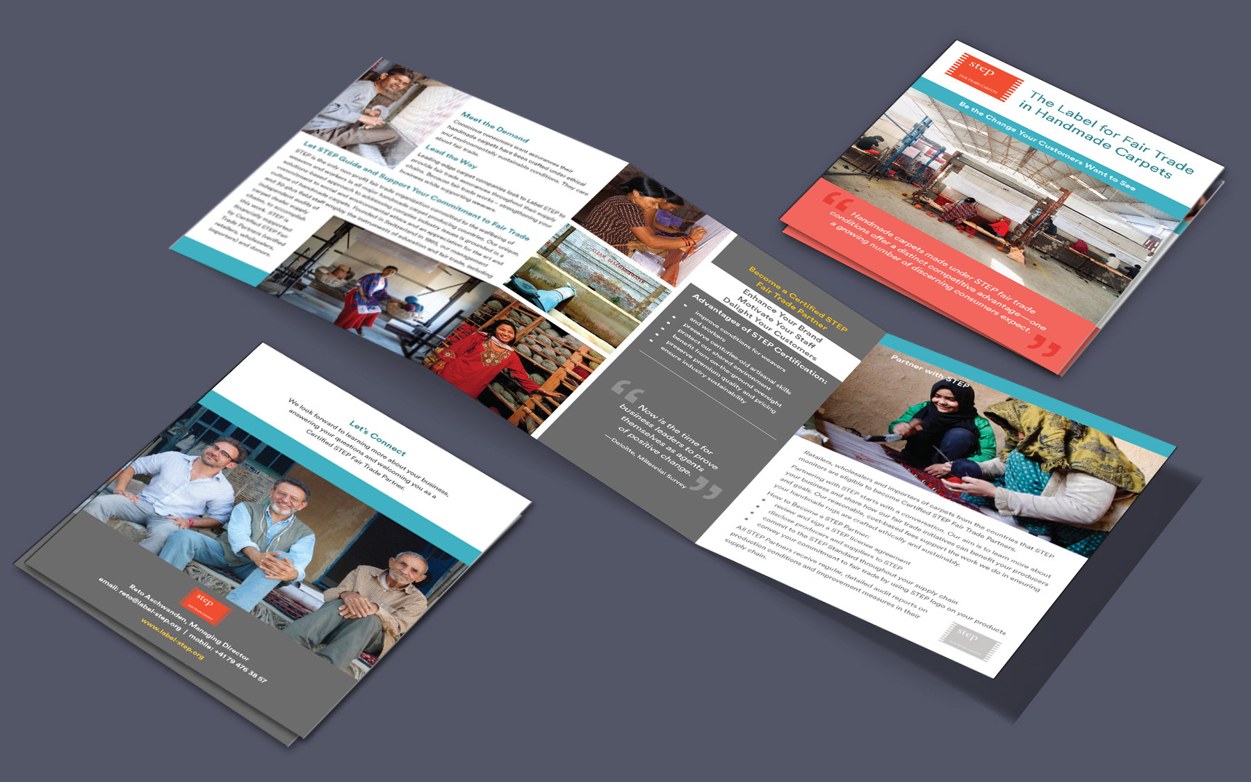 A six page, trifold brochure on a dark background
