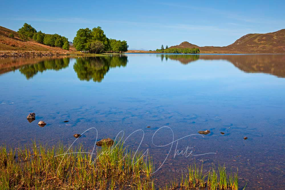 Loch Tarff, Fort Augustus, Highland, Scotland, UK
