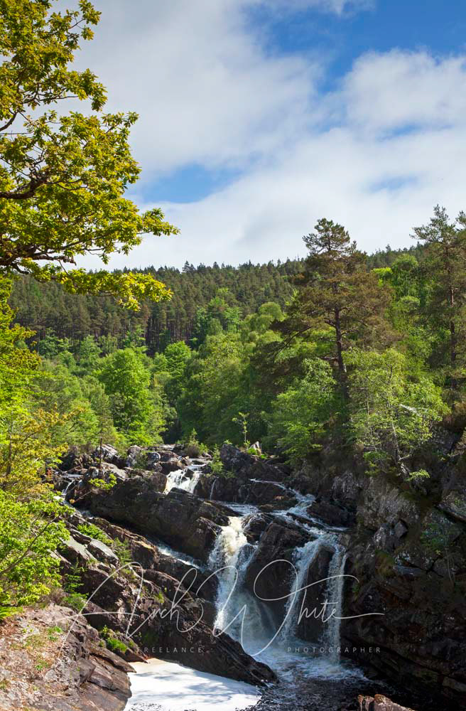 Rogie Falls, black water river, near Contin, Ross-shire, Highlands, Scotland, UK