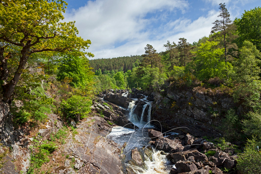Rogie Falls, black water river, near Contin, Ross-shire, Highlands, Scotland, UK