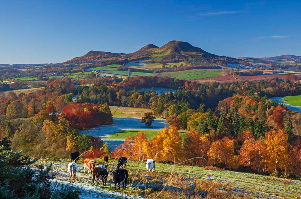 Scottish Borders, Scott's View, Melrose, Scotland, UK, Autumn, autumnal colour