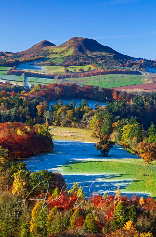 Scottish Borders, Scott's View, Melrose, Scotland, UK, Autumn, autumnal colour