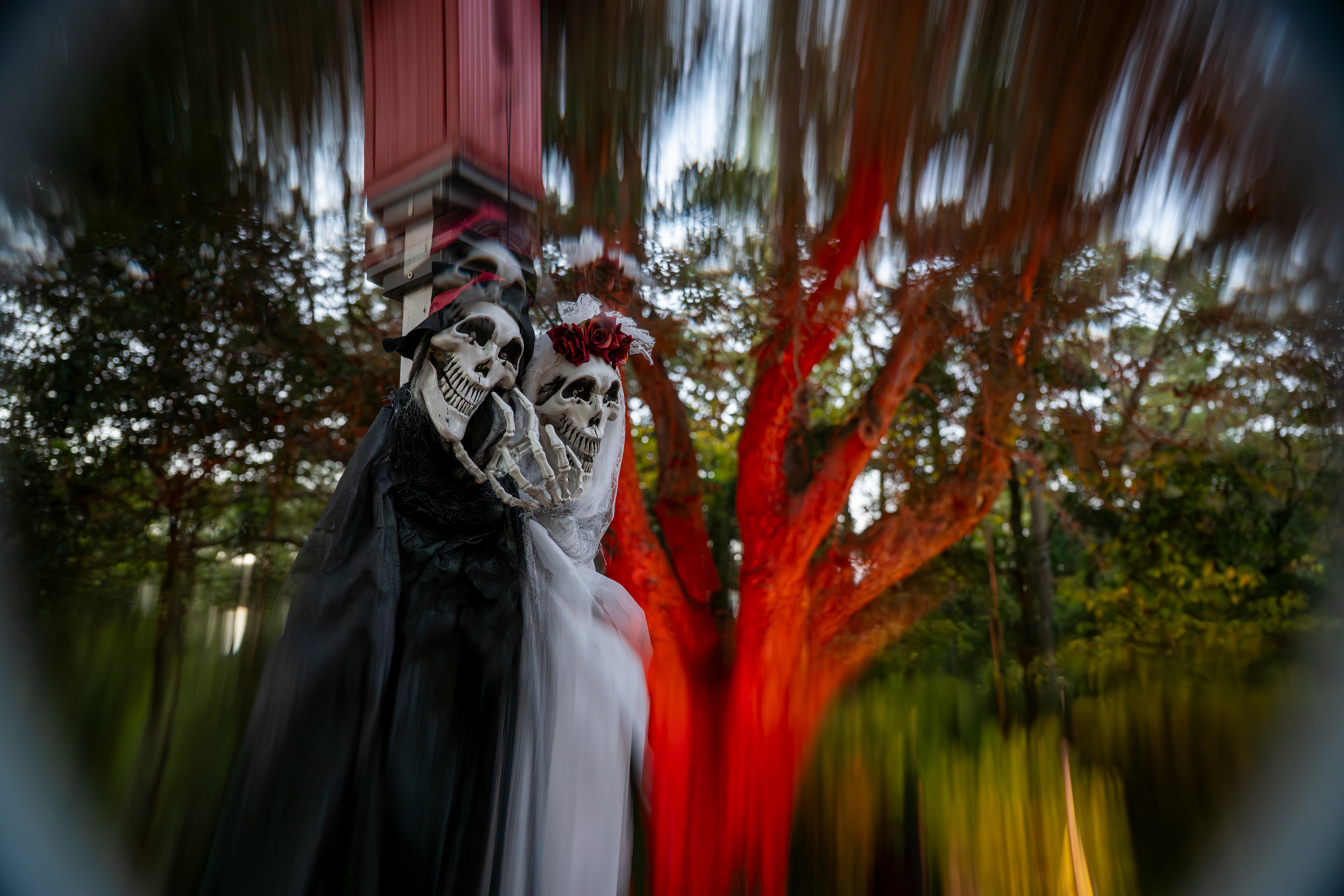 Halloween Wedding - October 31st, 2025