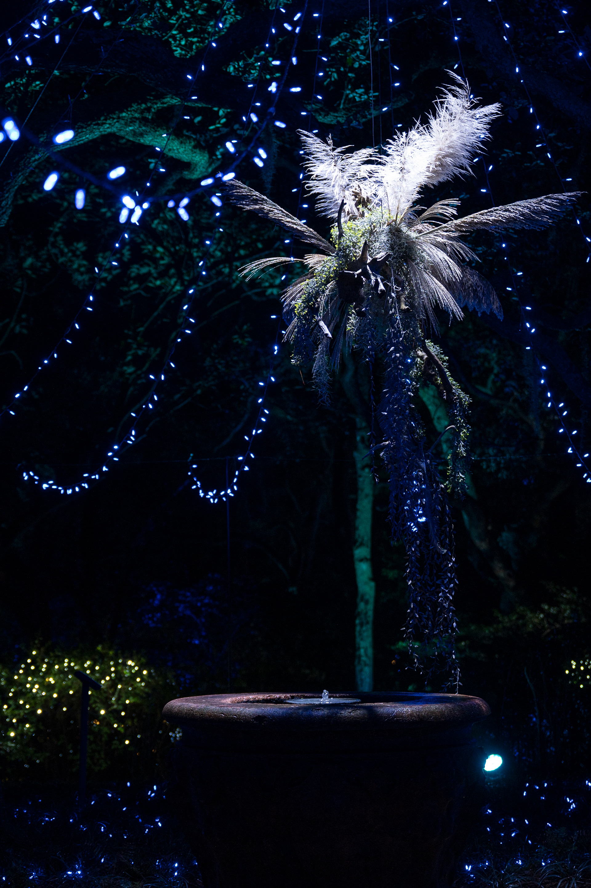 Elizabethan Gardens, Manteo, NC - December 3rd, 2022