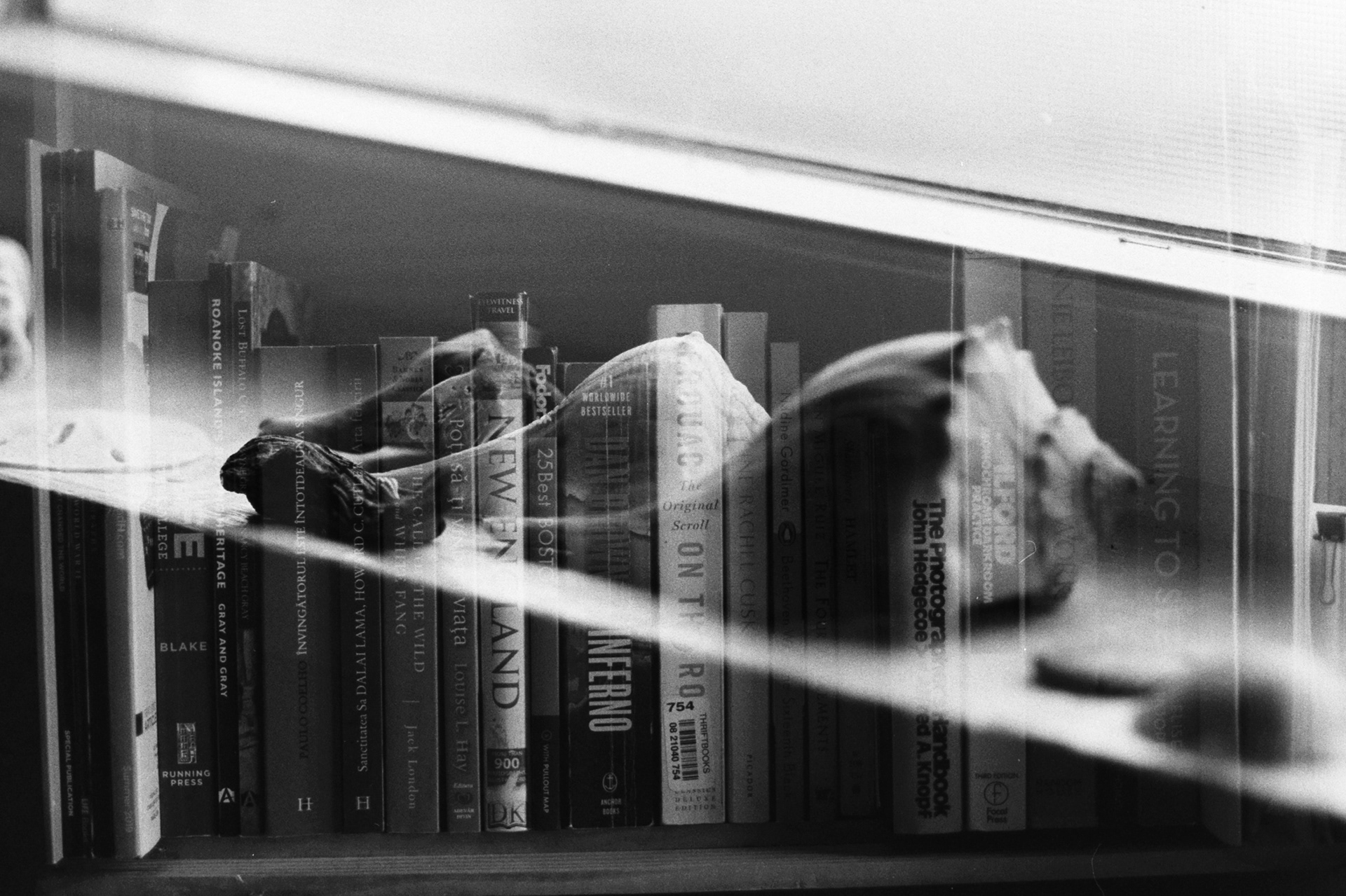 "Split Between Two Worlds" Chicopee, MA - Autumn 2019