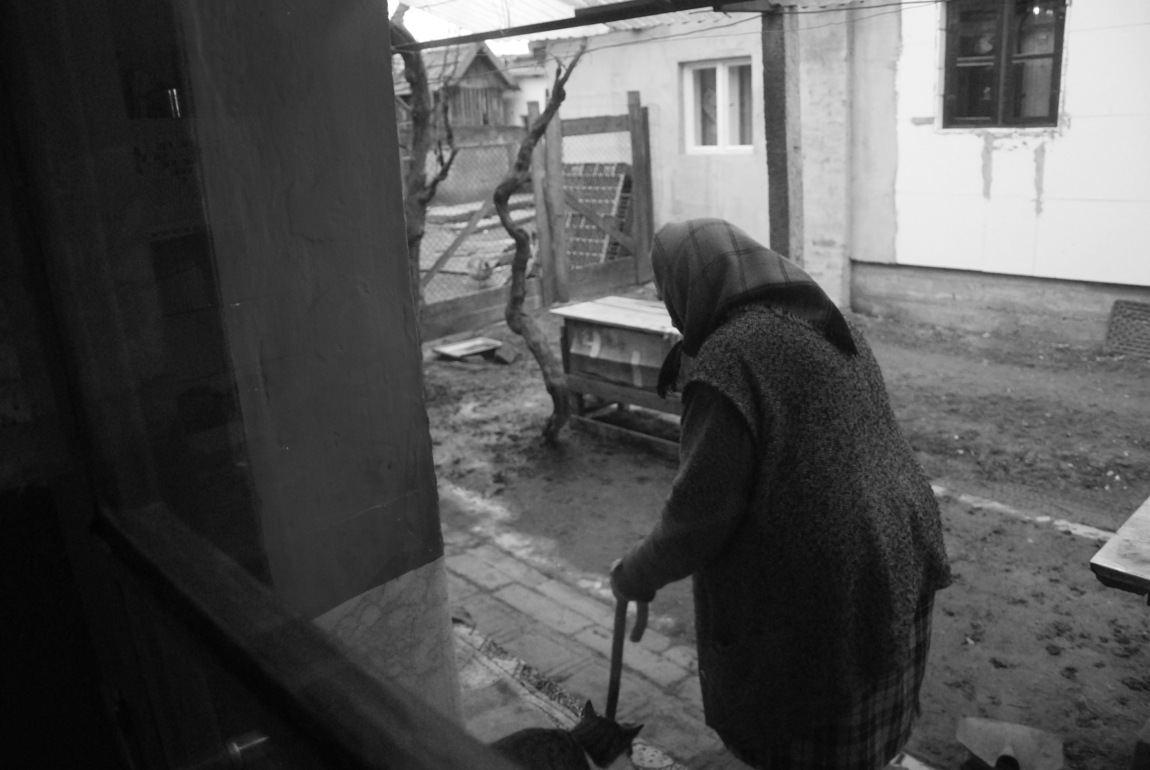 January 4th, 2012, Hegyközcsatár (Cetariu), Romania