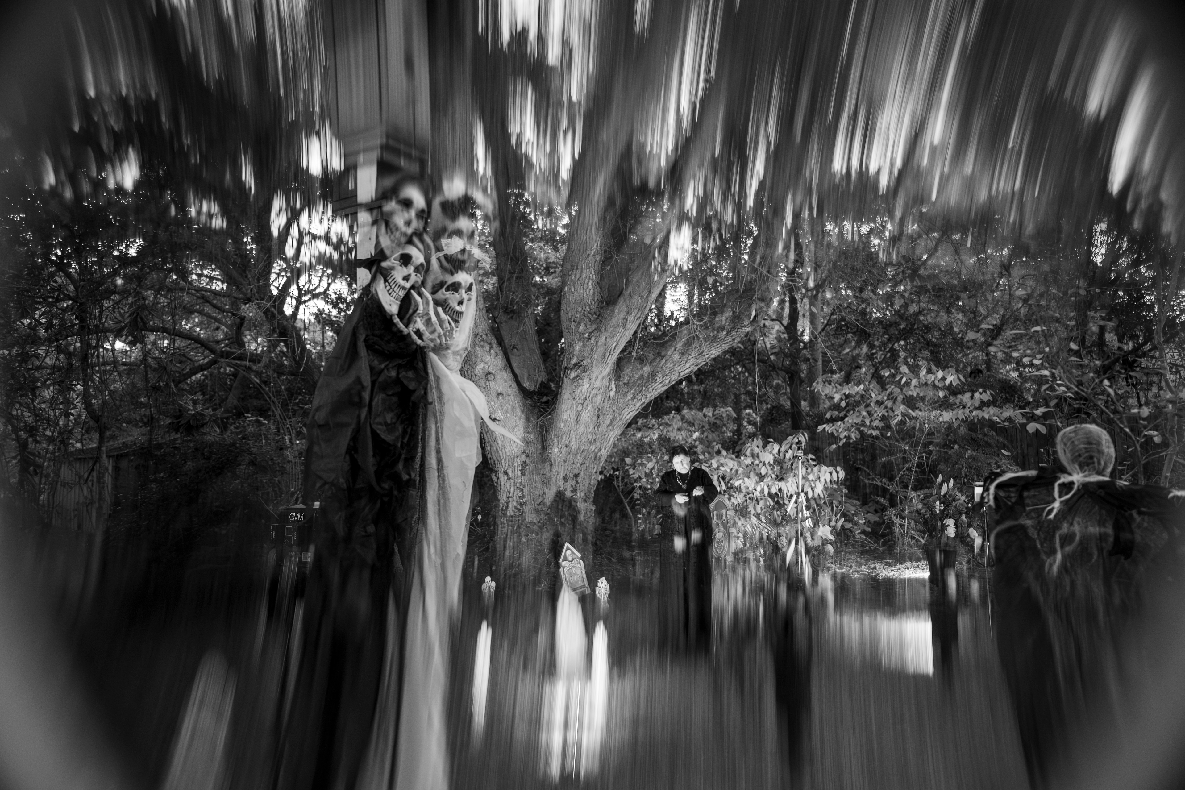 Halloween Wedding - October 31st, 2025