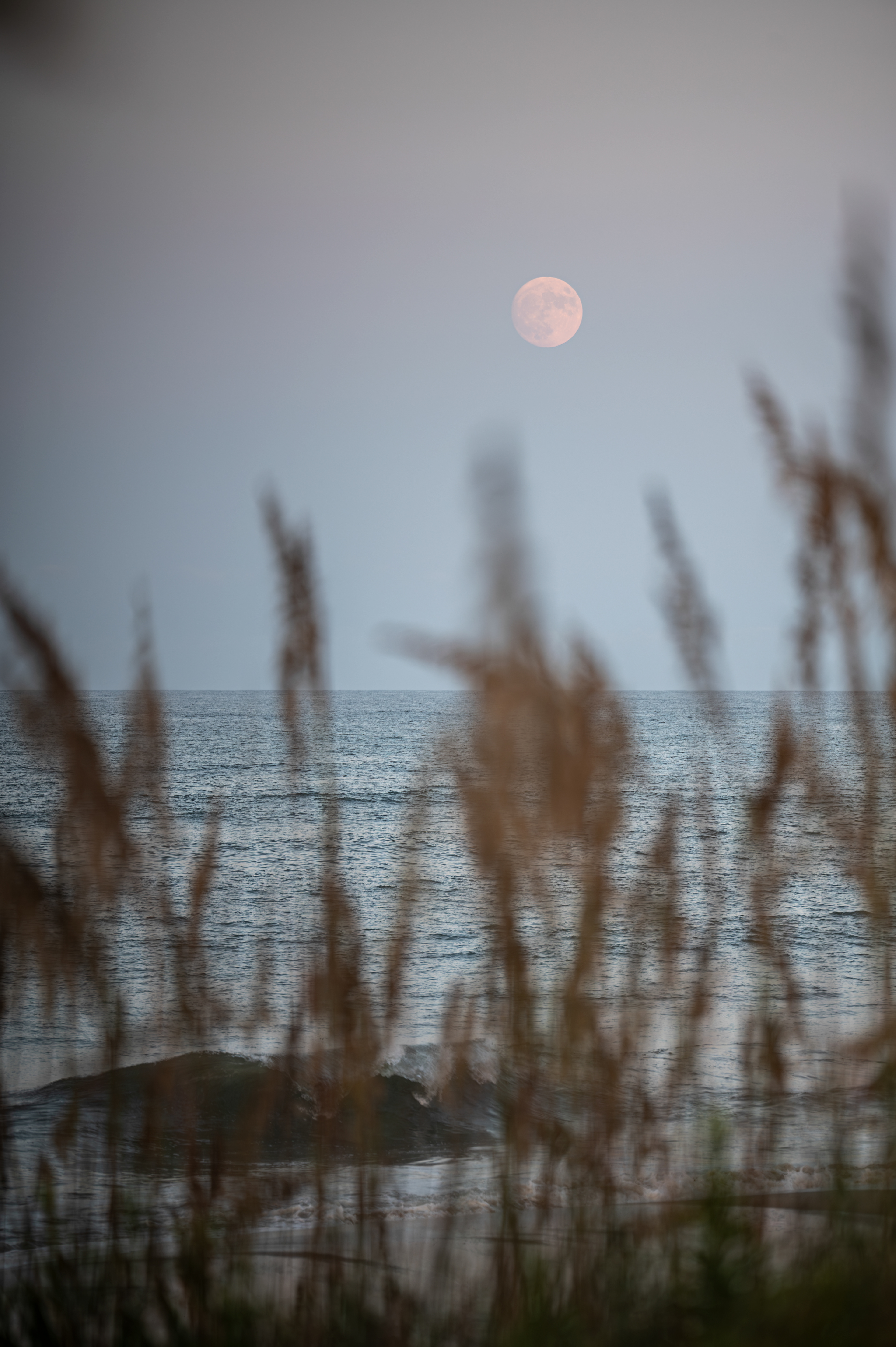 August 29th, 2023 - Prospect Beach Access, Kill Devil Hills, North Carolina
