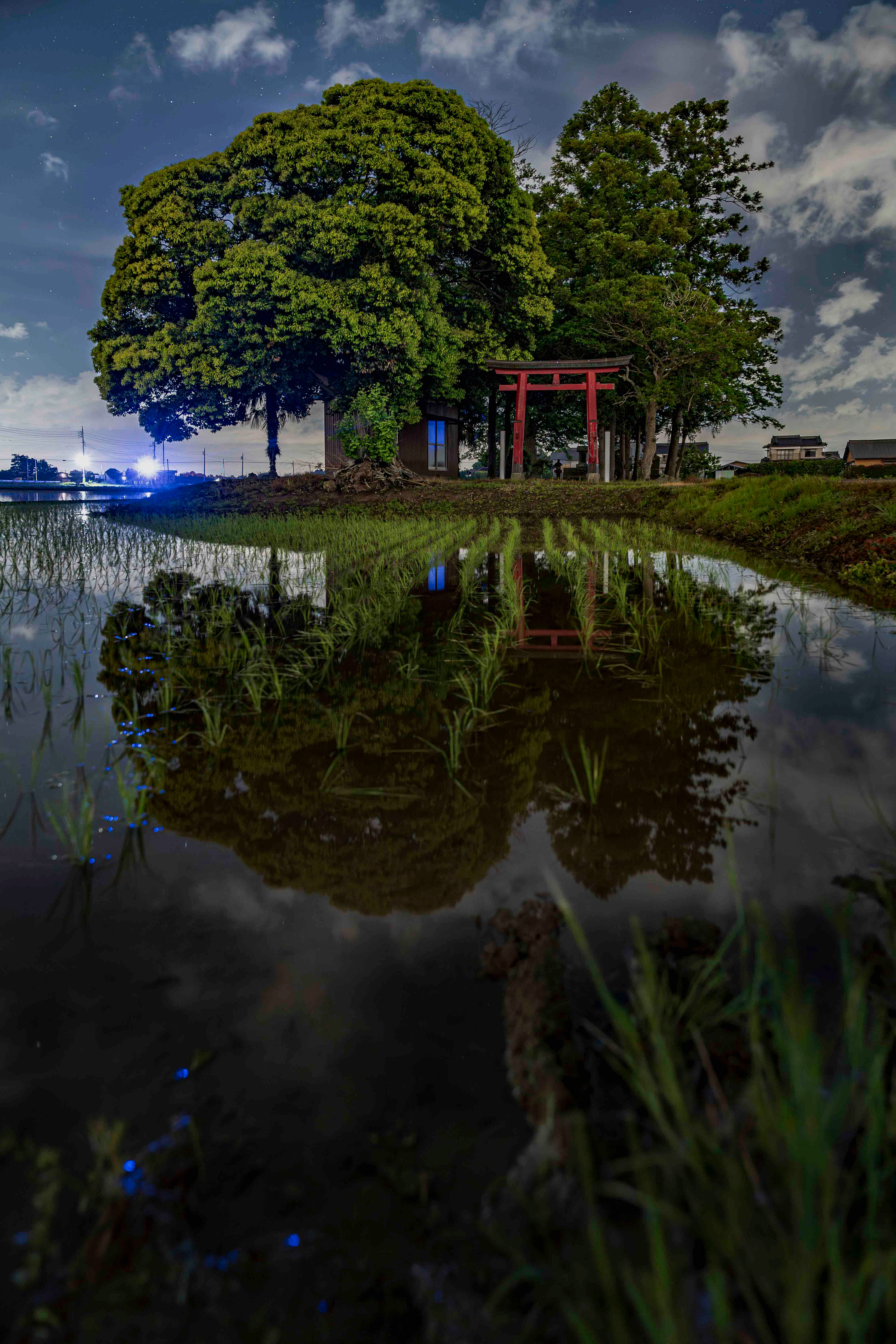 『竹生島神社(弁天神社)』茨城県常総市東町144