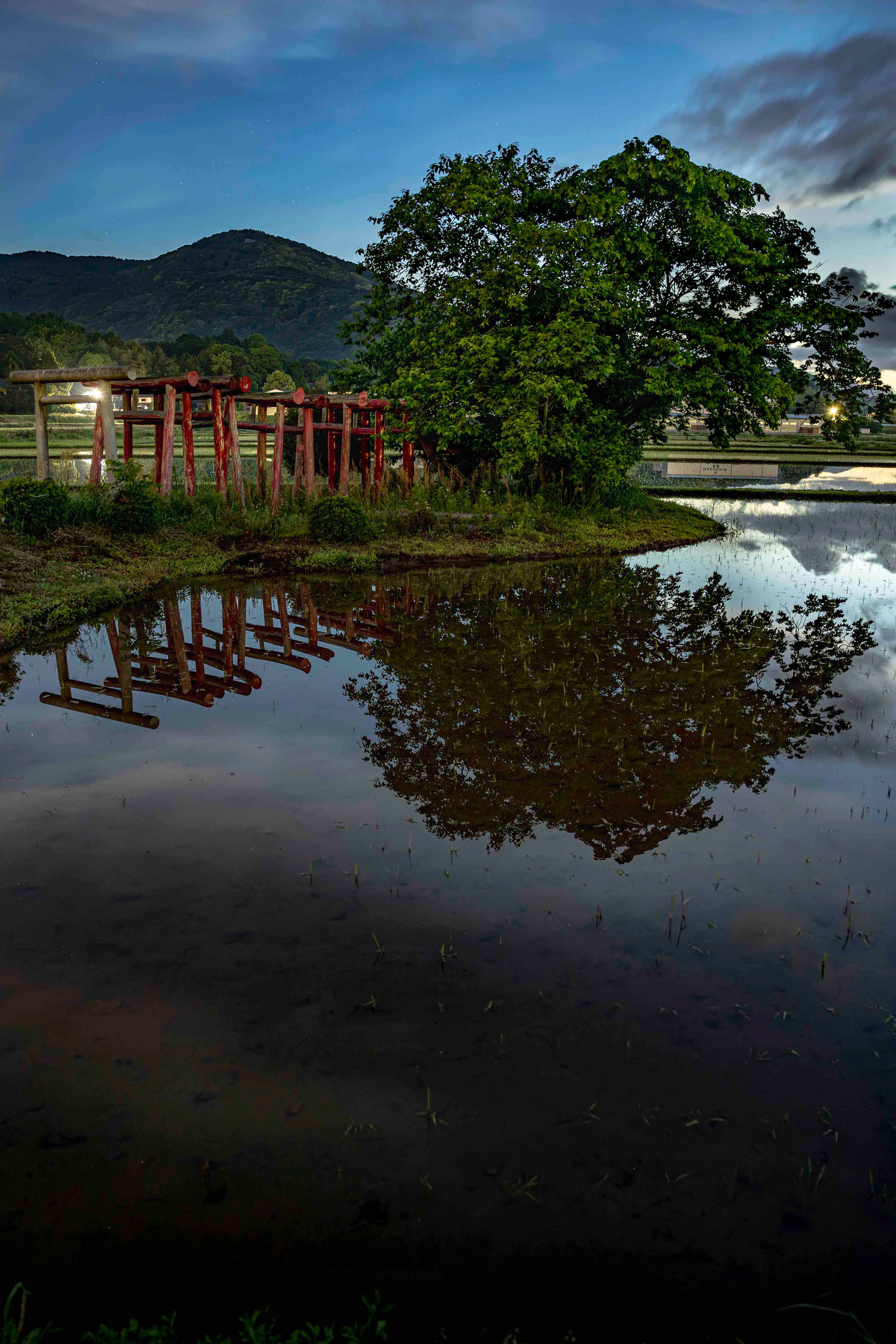 『稲荷大明神』茨城県石岡市小幡969