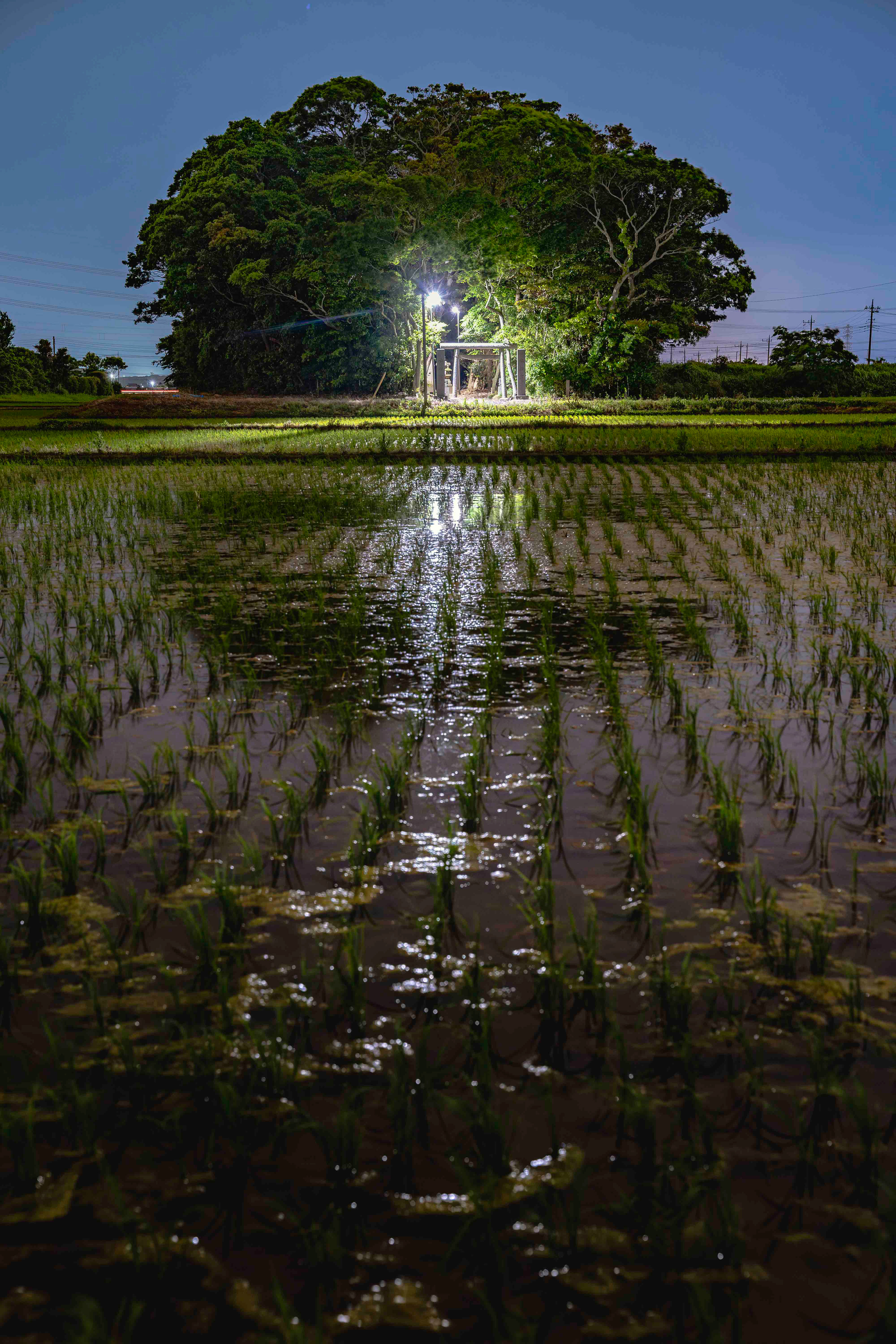 『水神宮』茨城県潮来市福島
