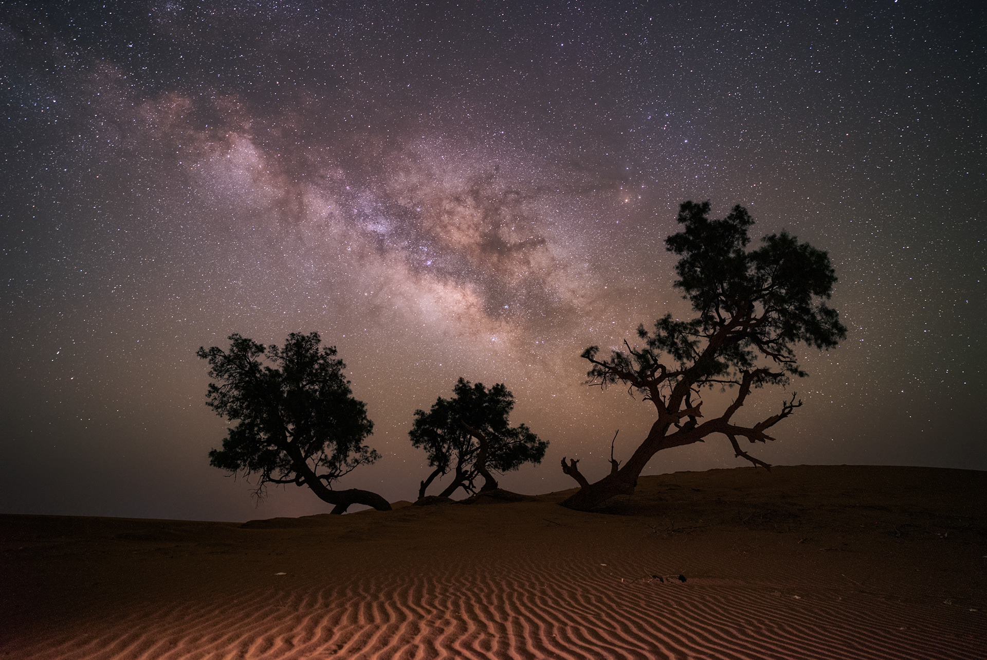 Desert Trees and Milky Way – Morocco