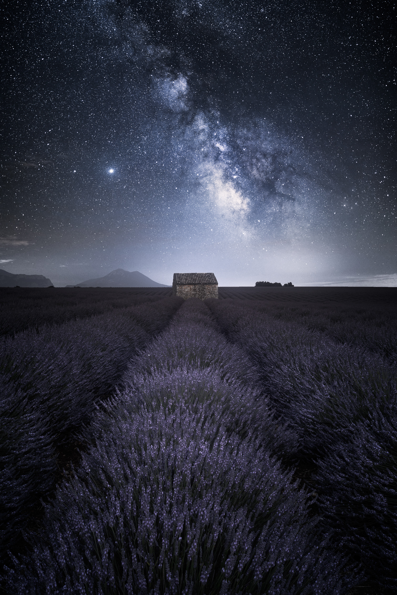 Milky Way Over Lavender Cabin