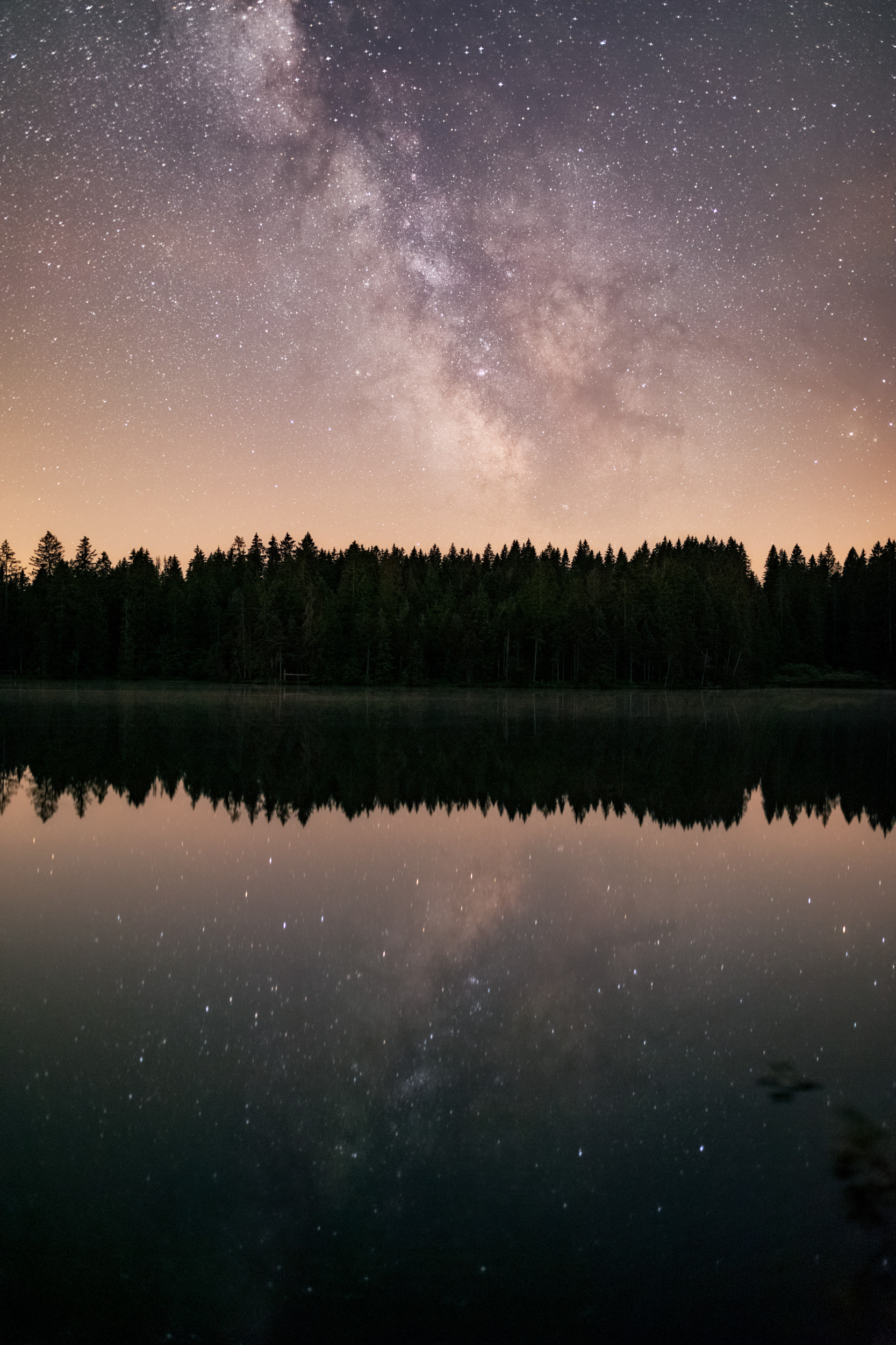 Starscape Above Forest and Lake