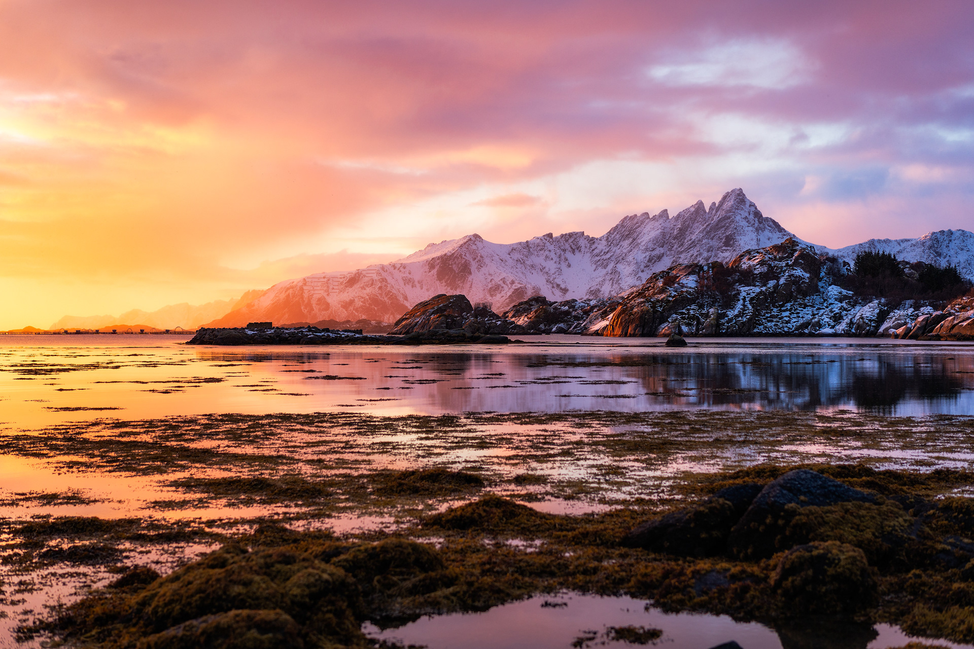 Lofoten Beach Sunrise – Arctic Light Reflection in Norway