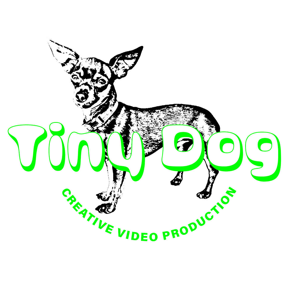 Tiny Dog
