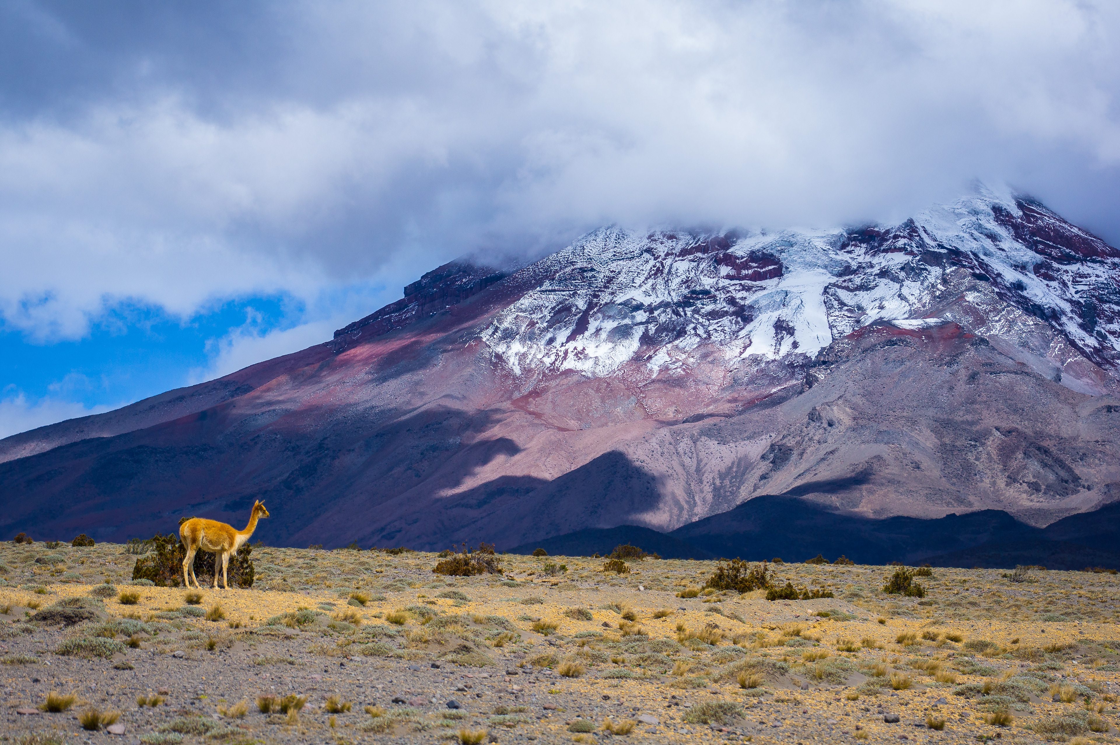 Clouded Volcano