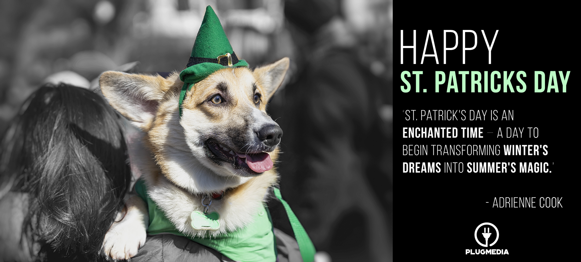 St. Patricks Day Poster