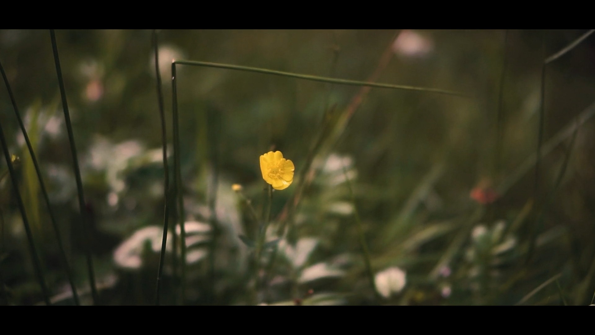 Videography // Personal Project