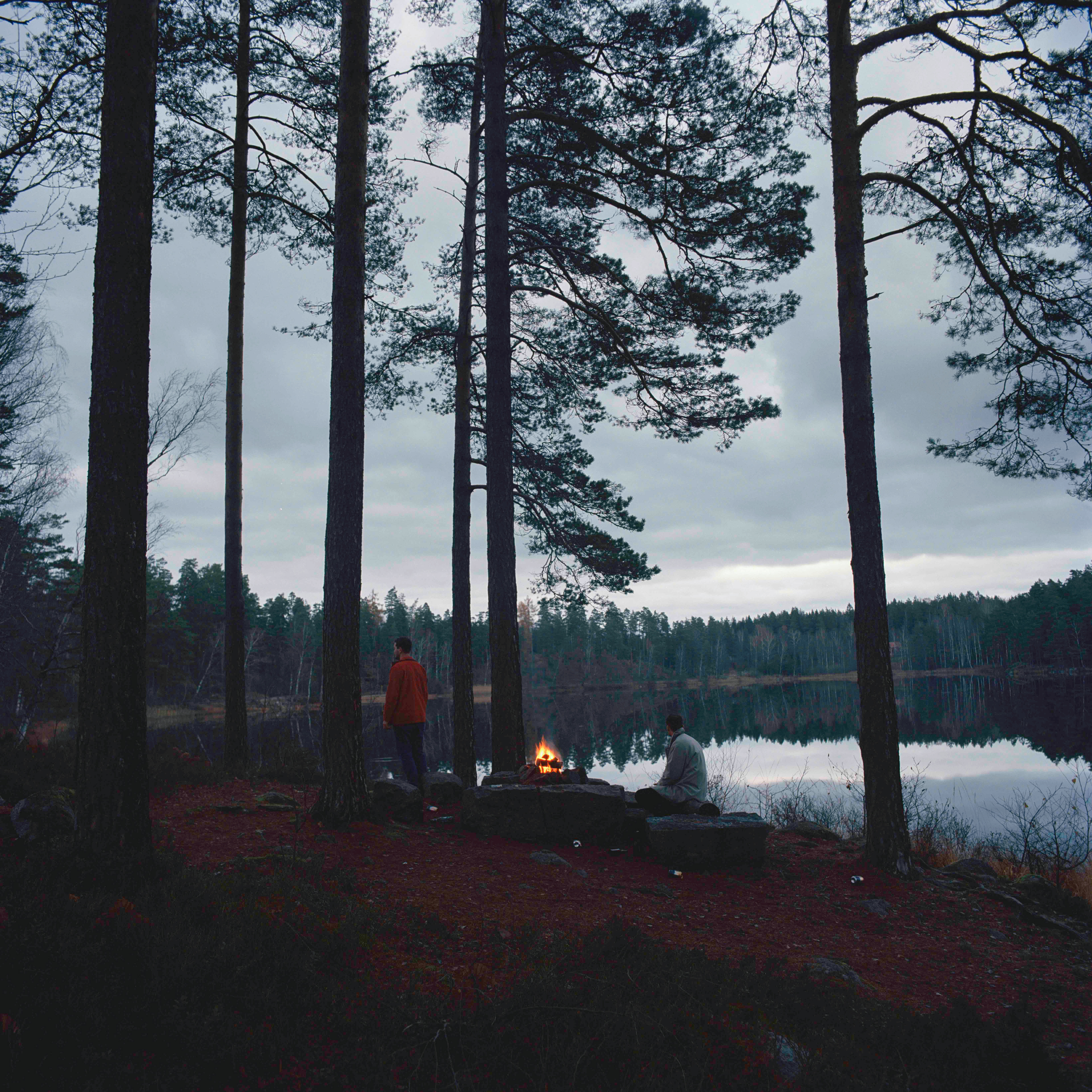 Bonfire