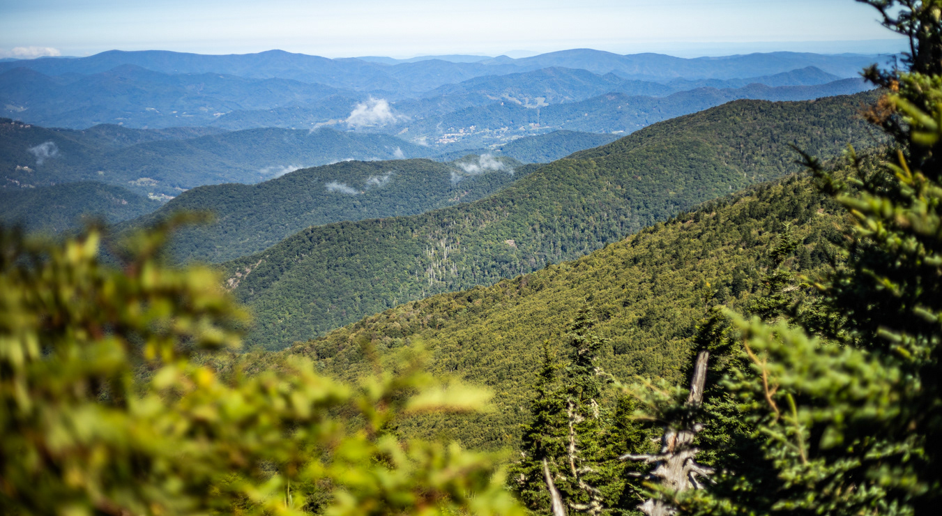 Trail 179, North Carolina.