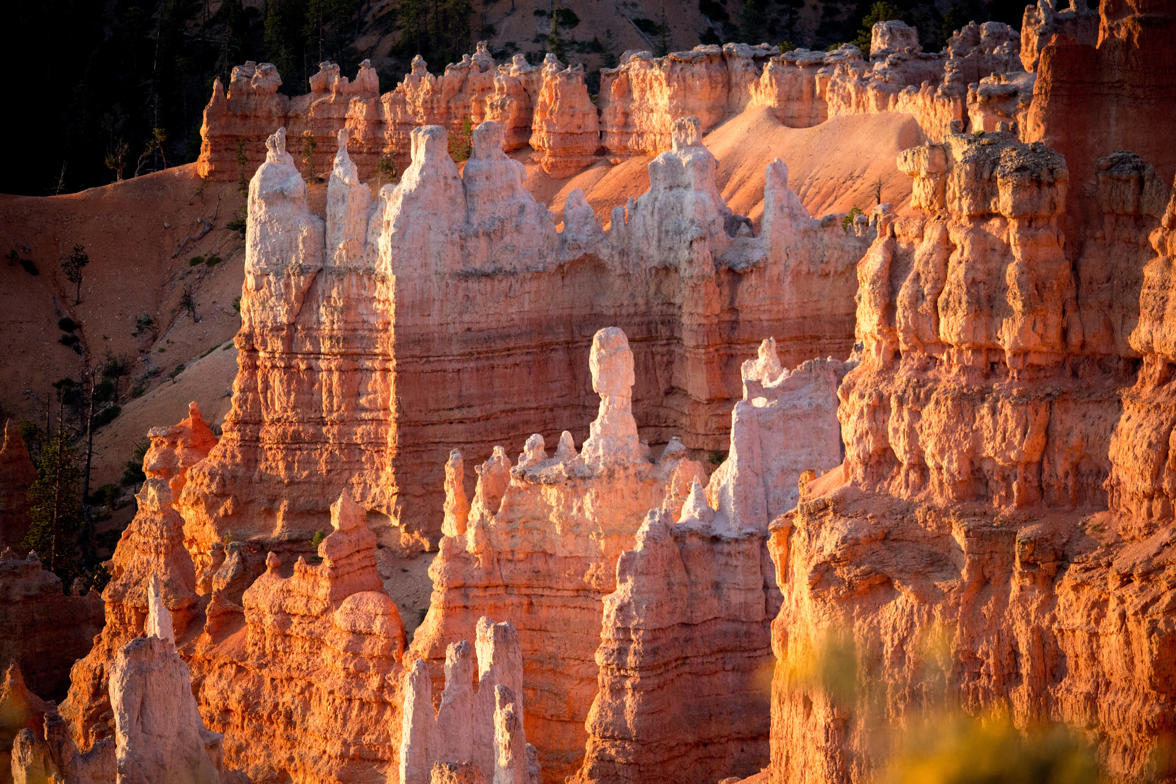 Bryce Canyon, 2017.