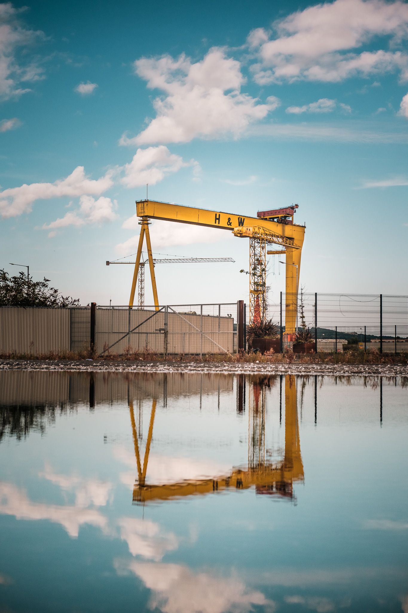 Harland & Wolff Crane