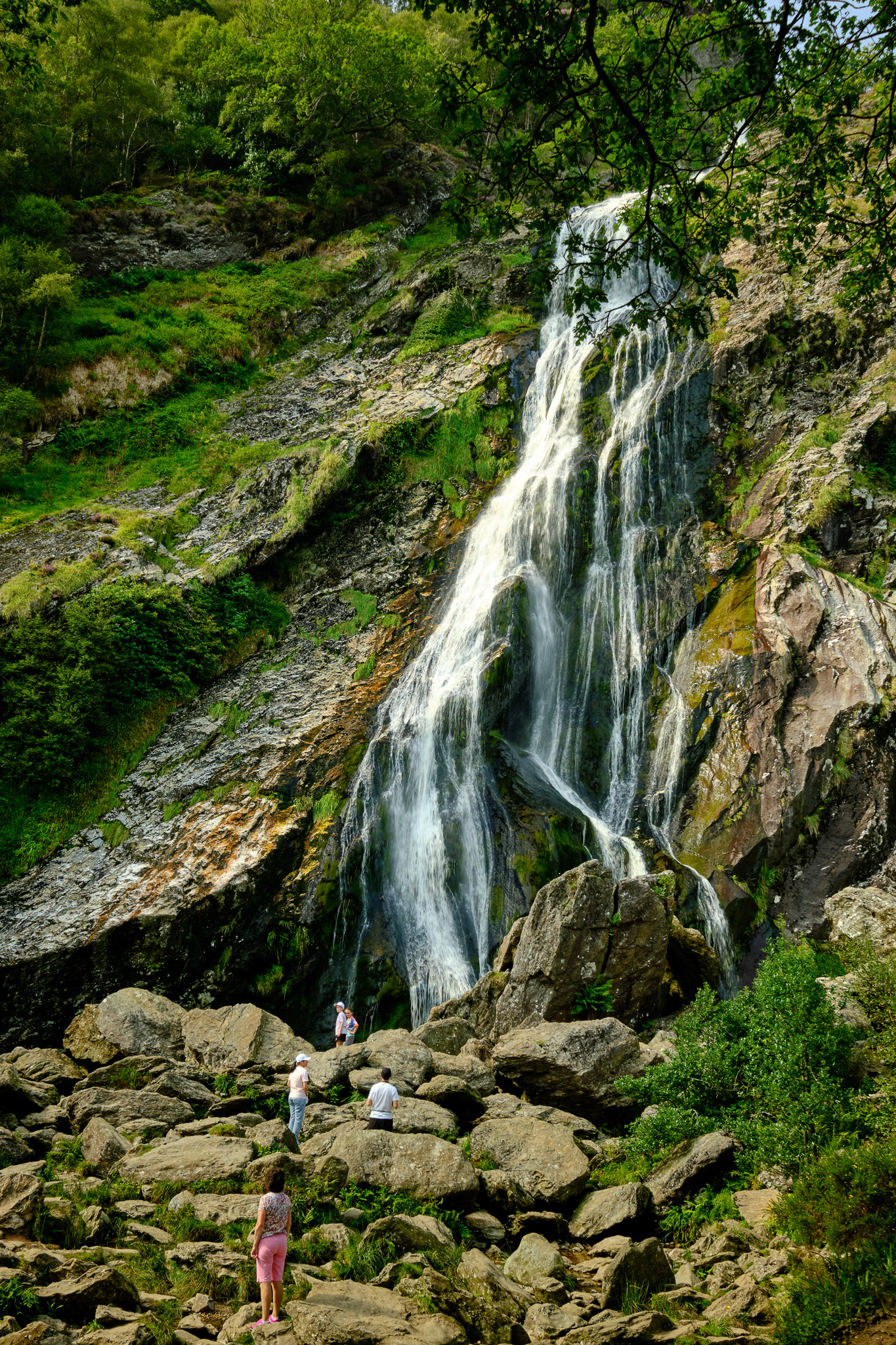 Powerscourt Waterfall