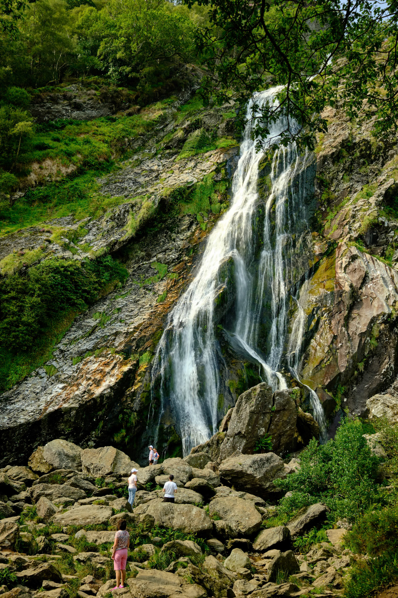 Powerscourt Waterfall