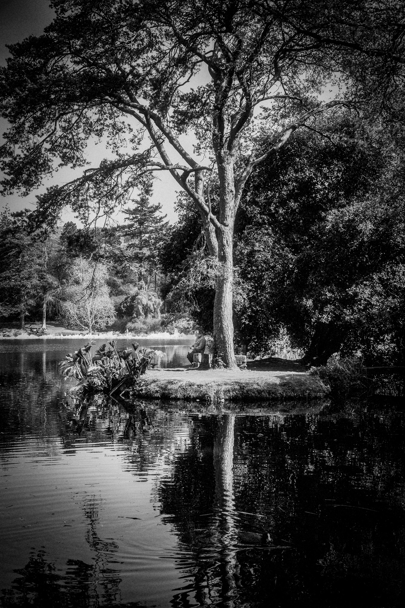 Mount Stewart Gardens