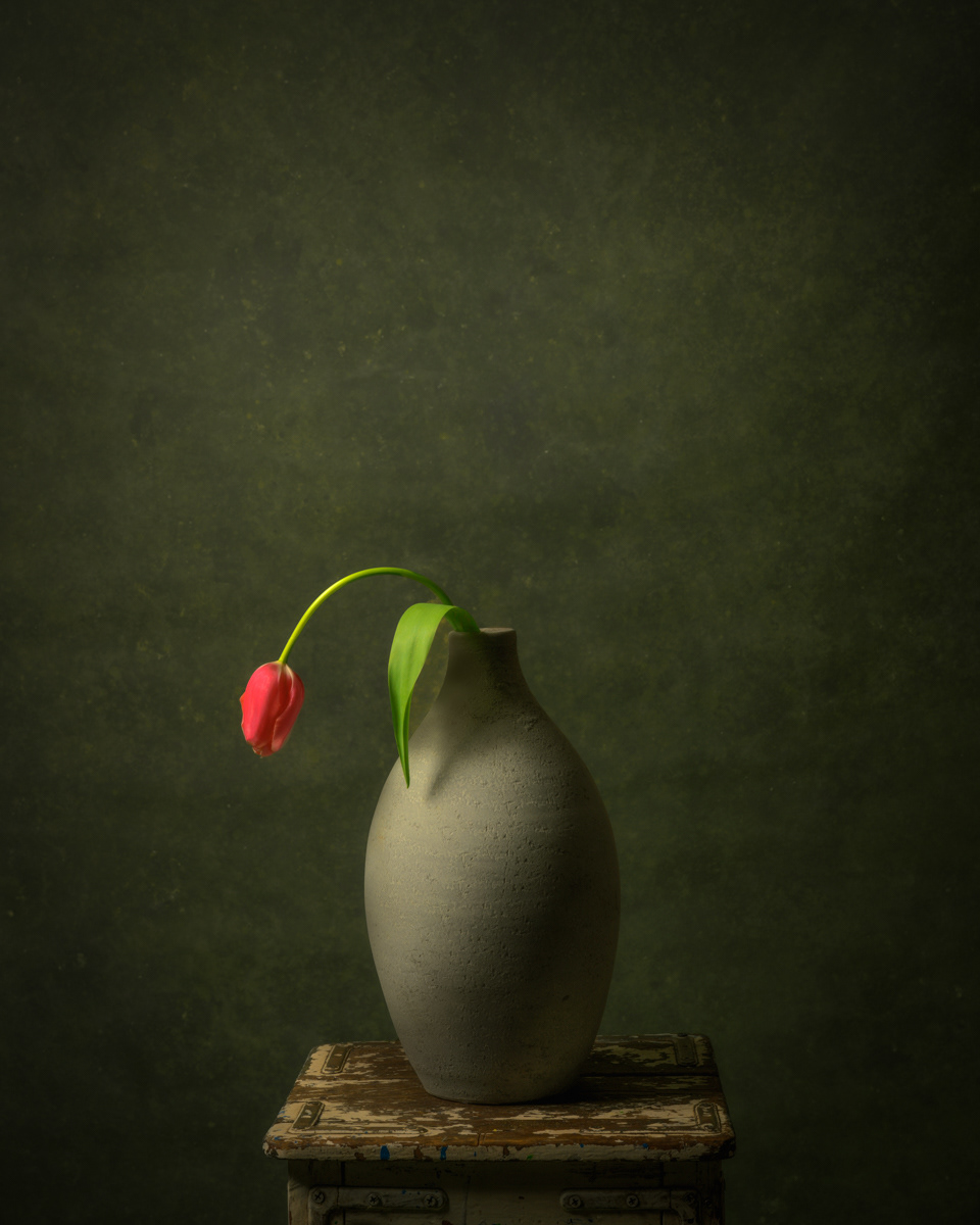 Fine Art