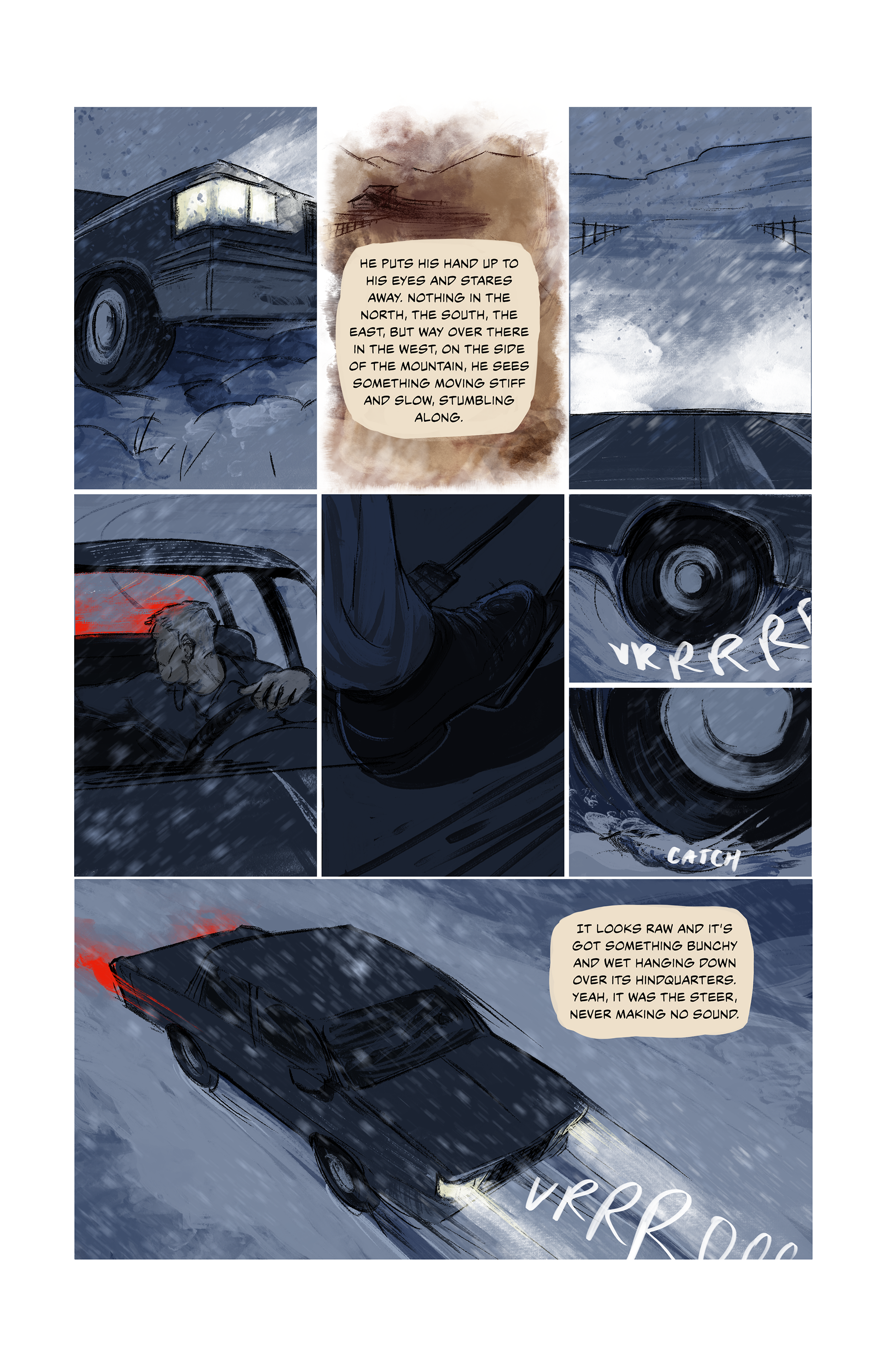 The Half-Skinned Steer page 10