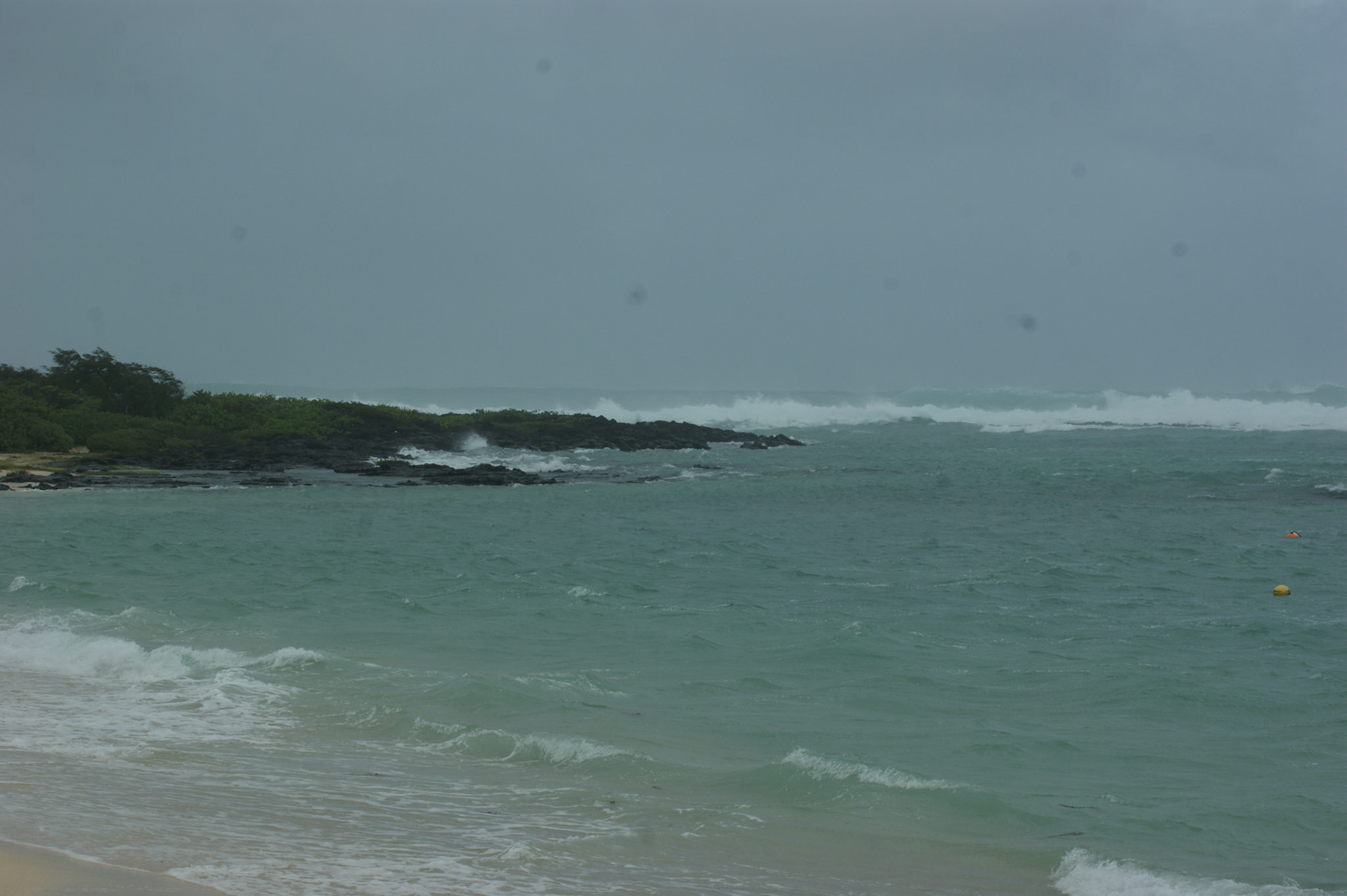 SONY DSC