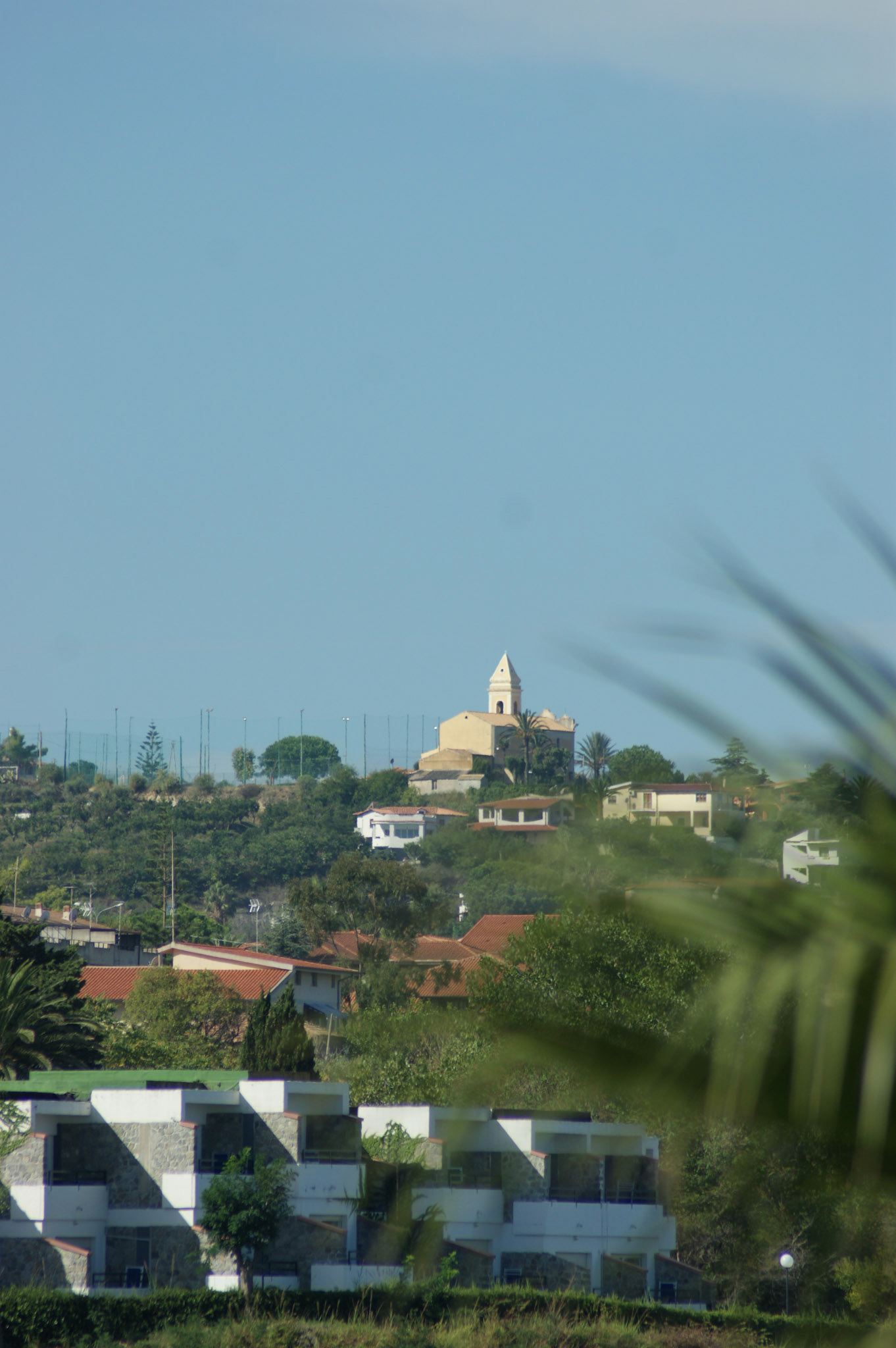 SONY DSC