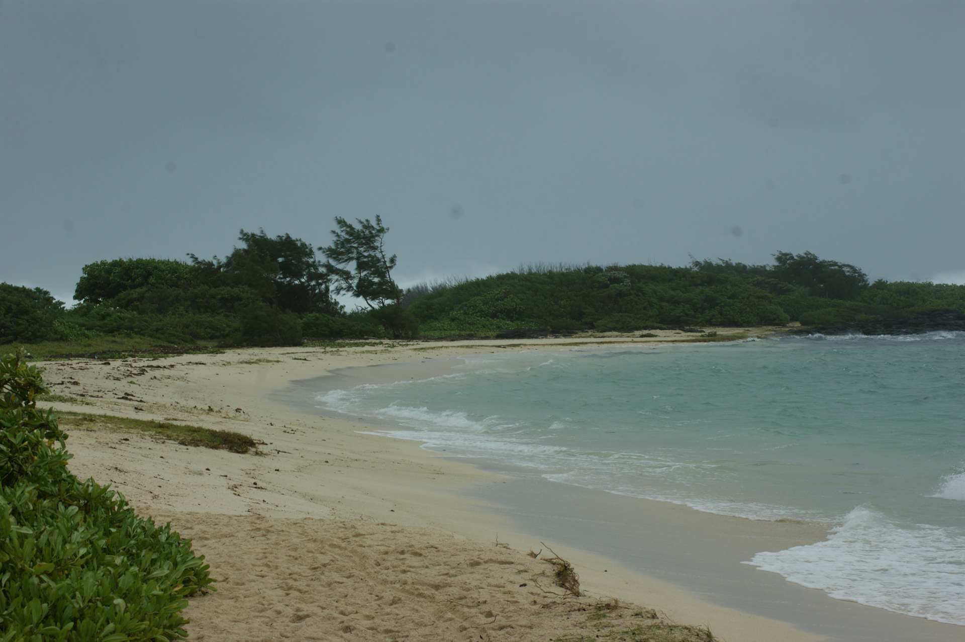 SONY DSC