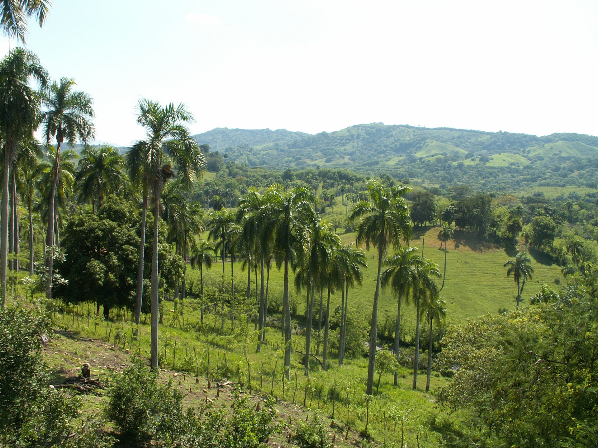 KONICA MINOLTA DIGITAL CAMERA