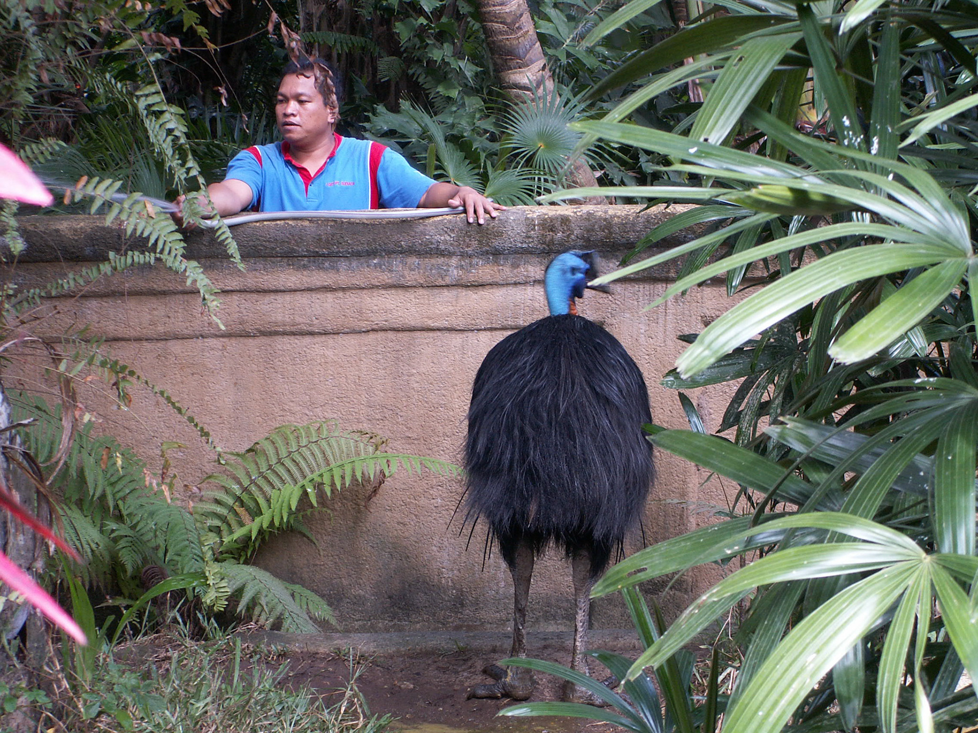 KONICA MINOLTA DIGITAL CAMERA