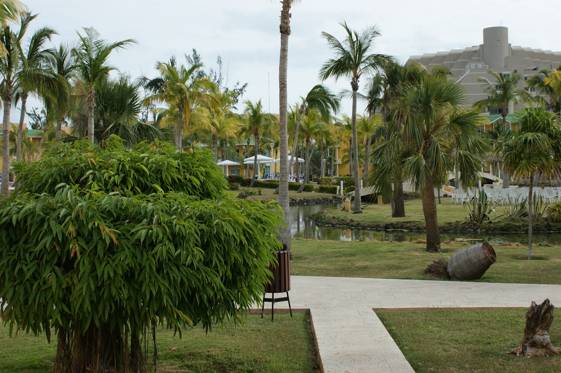 SONY DSC