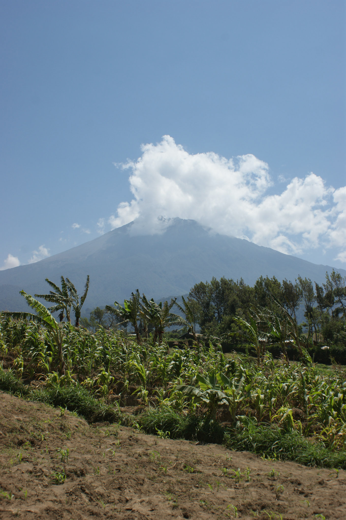 29.9.2009 TANZANIE - Arusha - Masajská vesnice