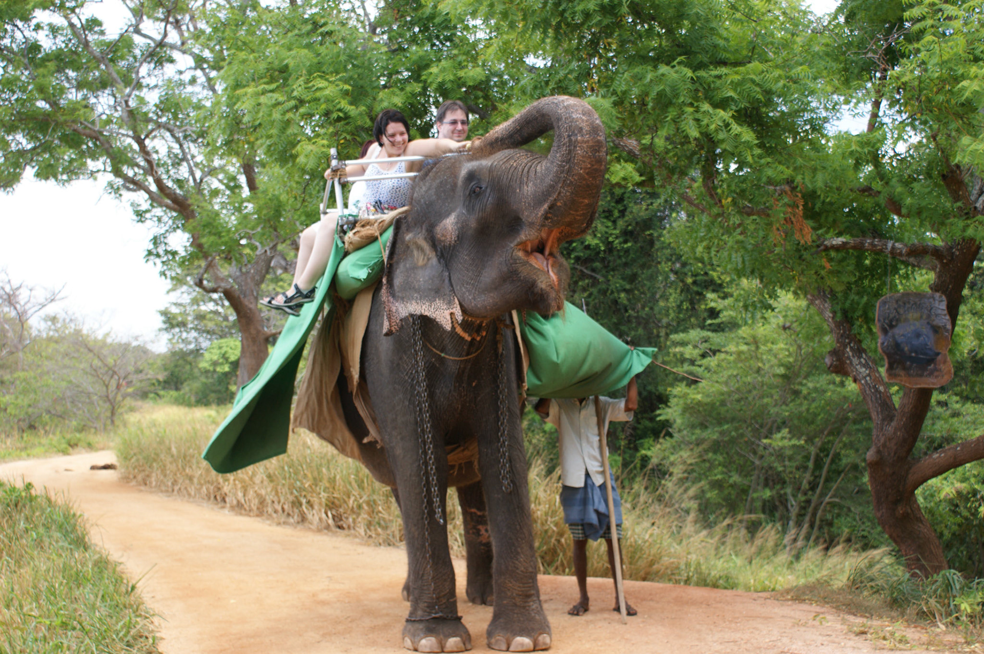 4.9.11 MINNERIYA - výlet na slonech