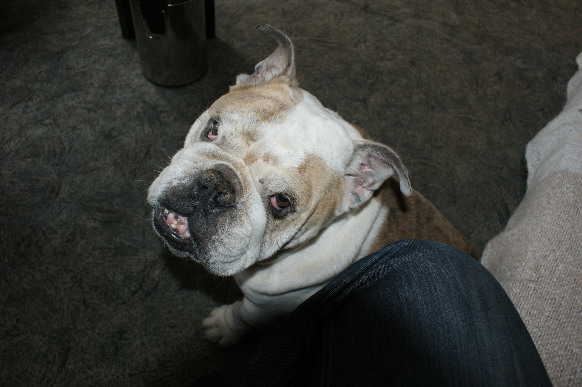 SONY DSC