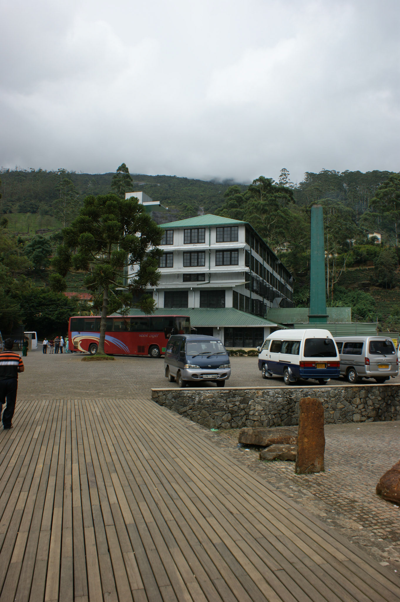 6.9.11 MACKWOOD - zpracování čaje