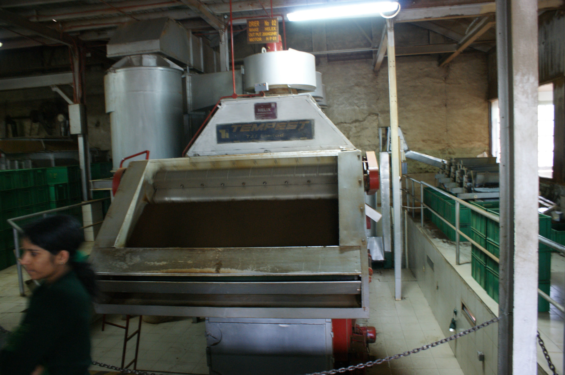 6.9.11 MACKWOOD - zpracování čaje