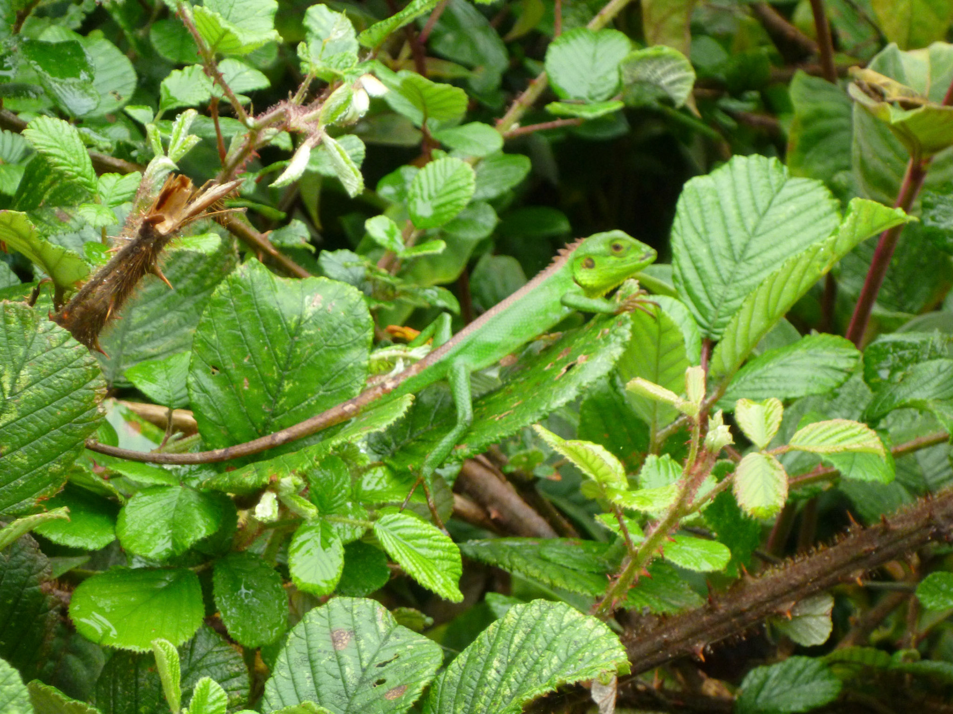 7.9.11 HORTONSKÉ PLÁNĚ - Konec světa