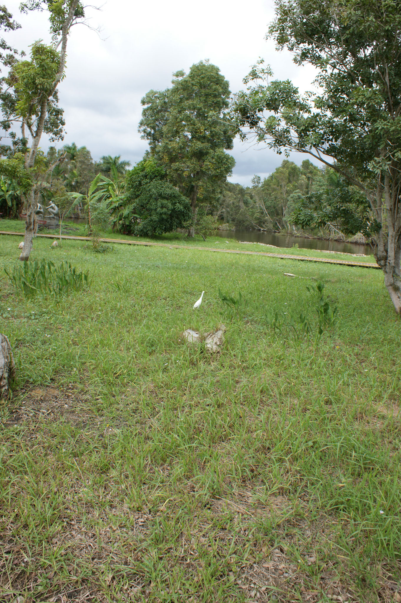SONY DSC