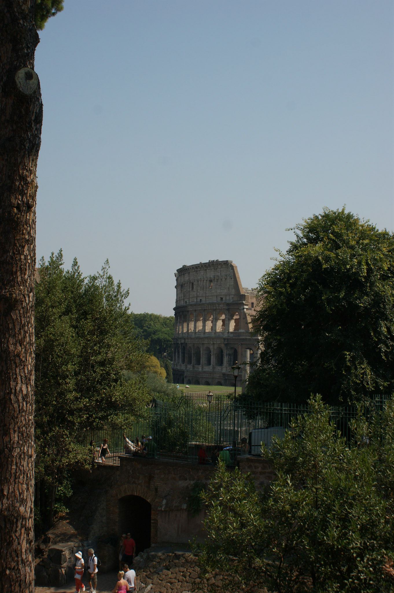 SONY DSC