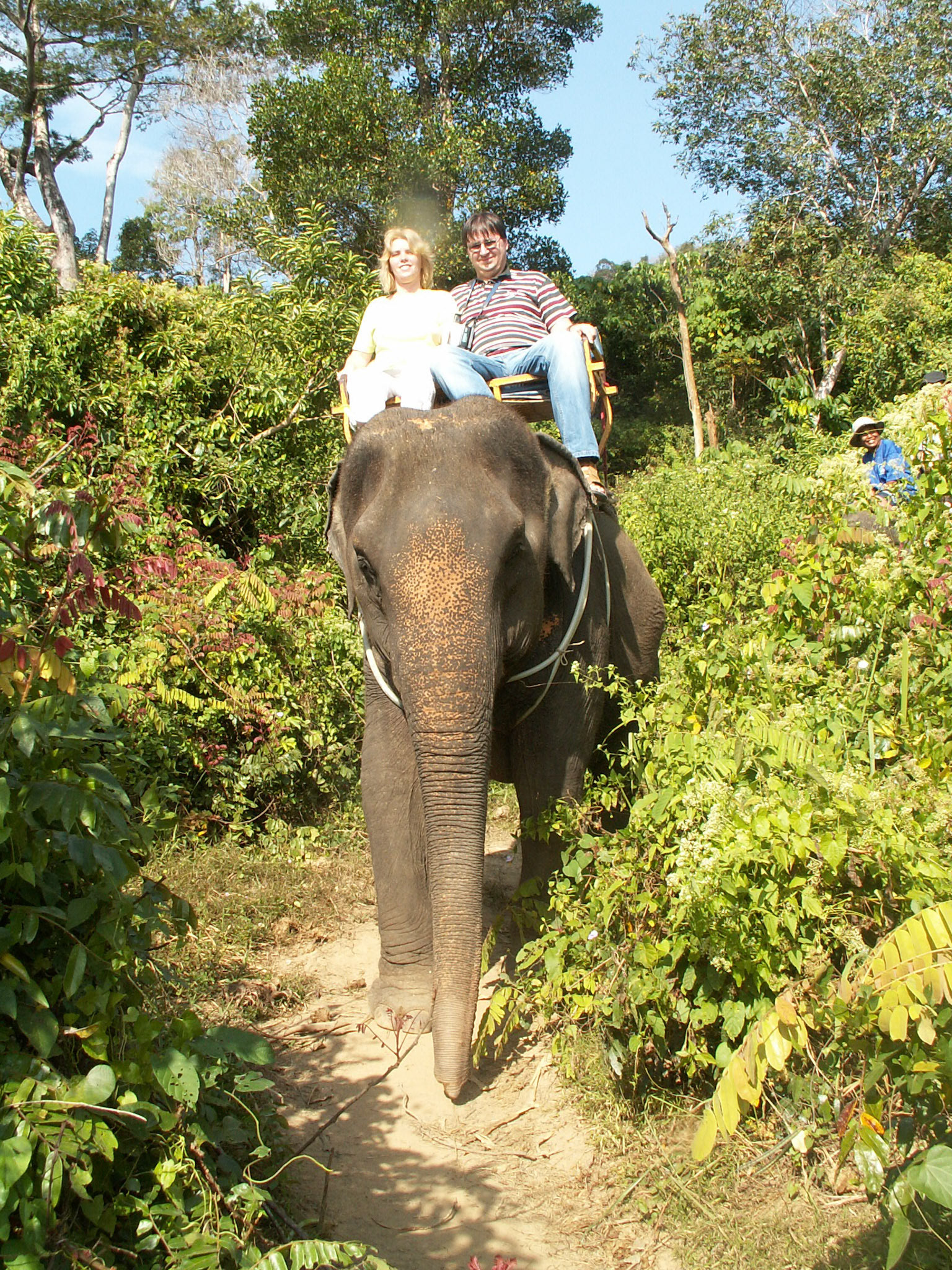 KONICA MINOLTA DIGITAL CAMERA