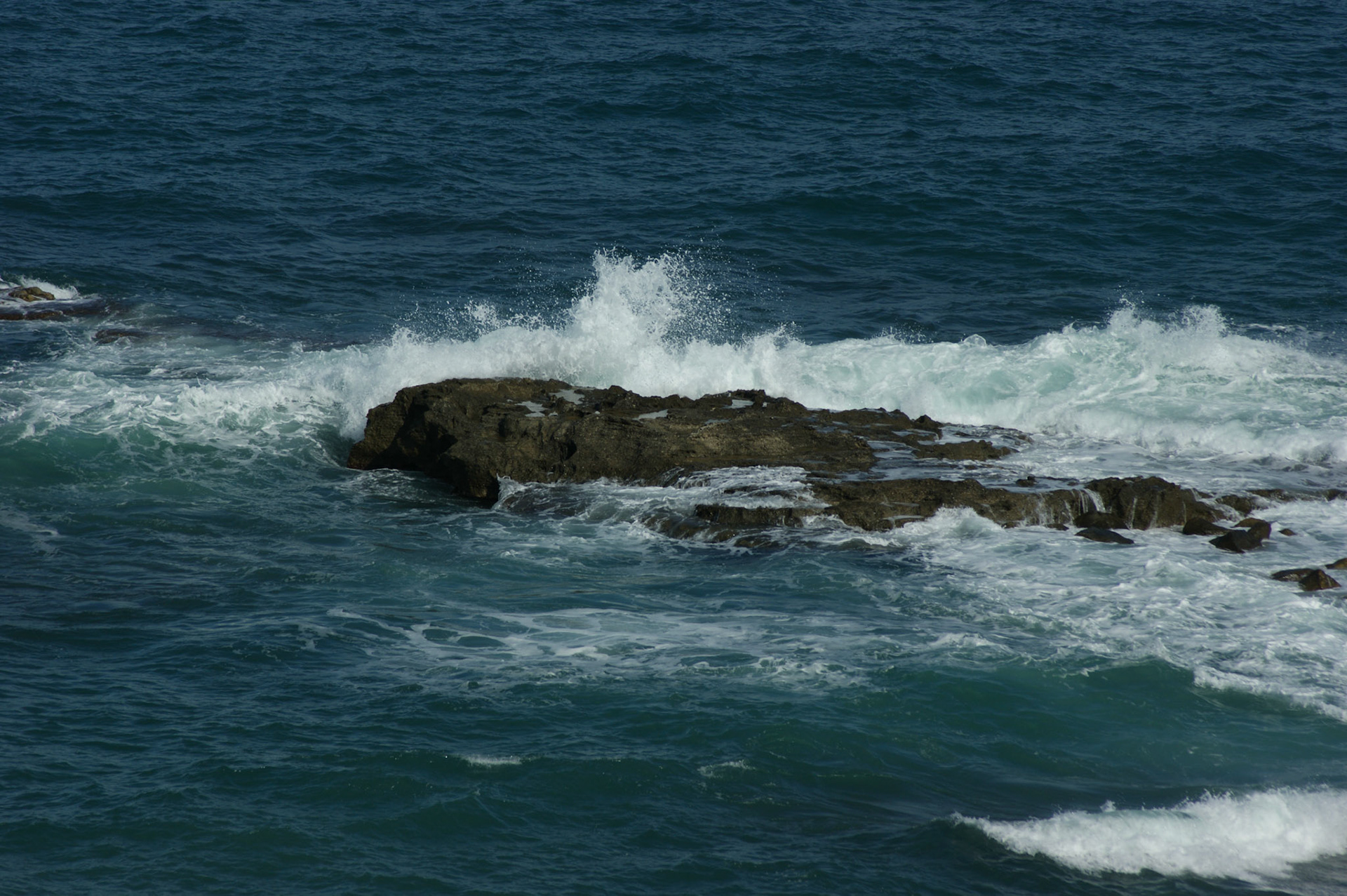 SONY DSC