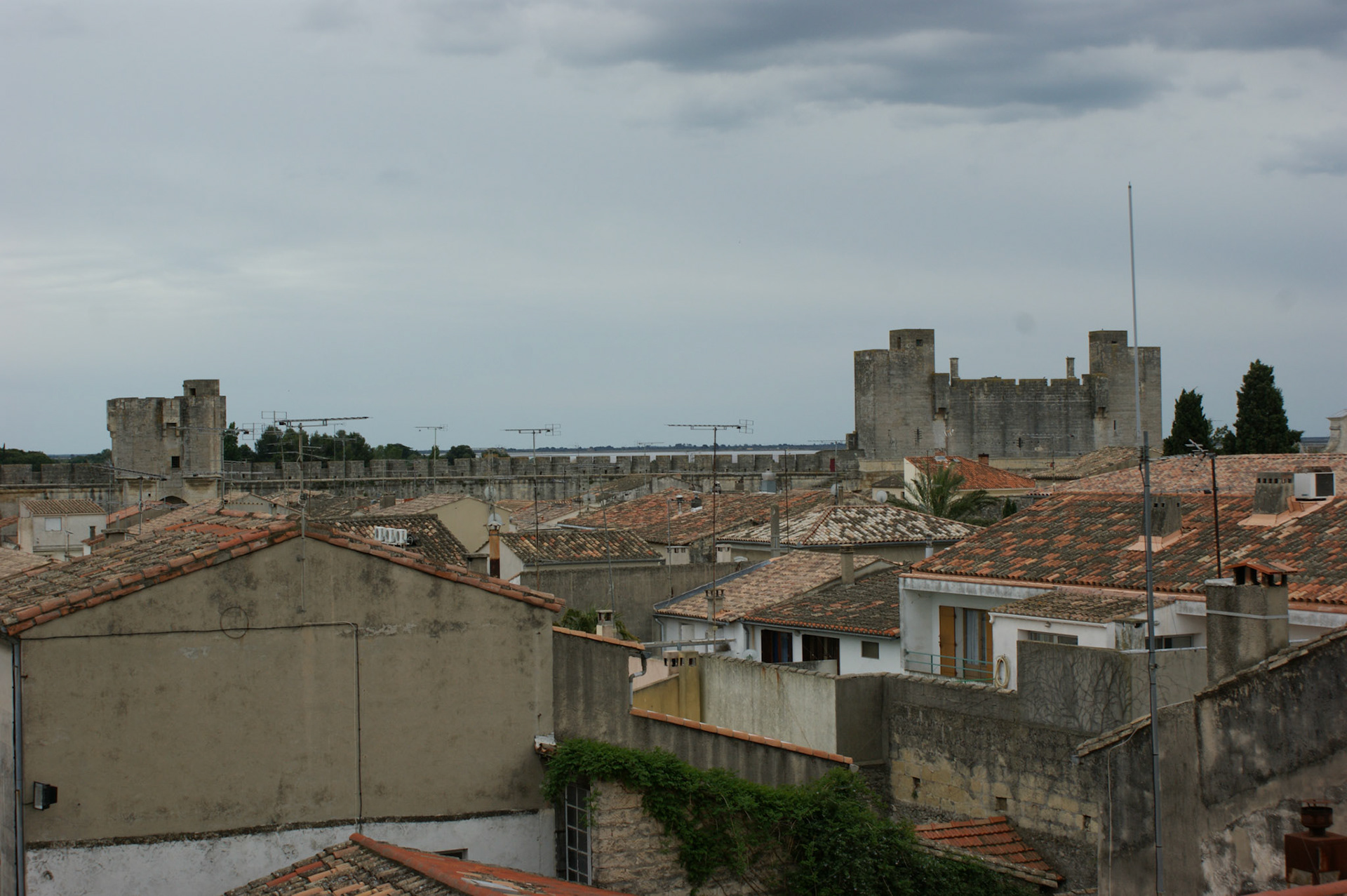 SONY DSC